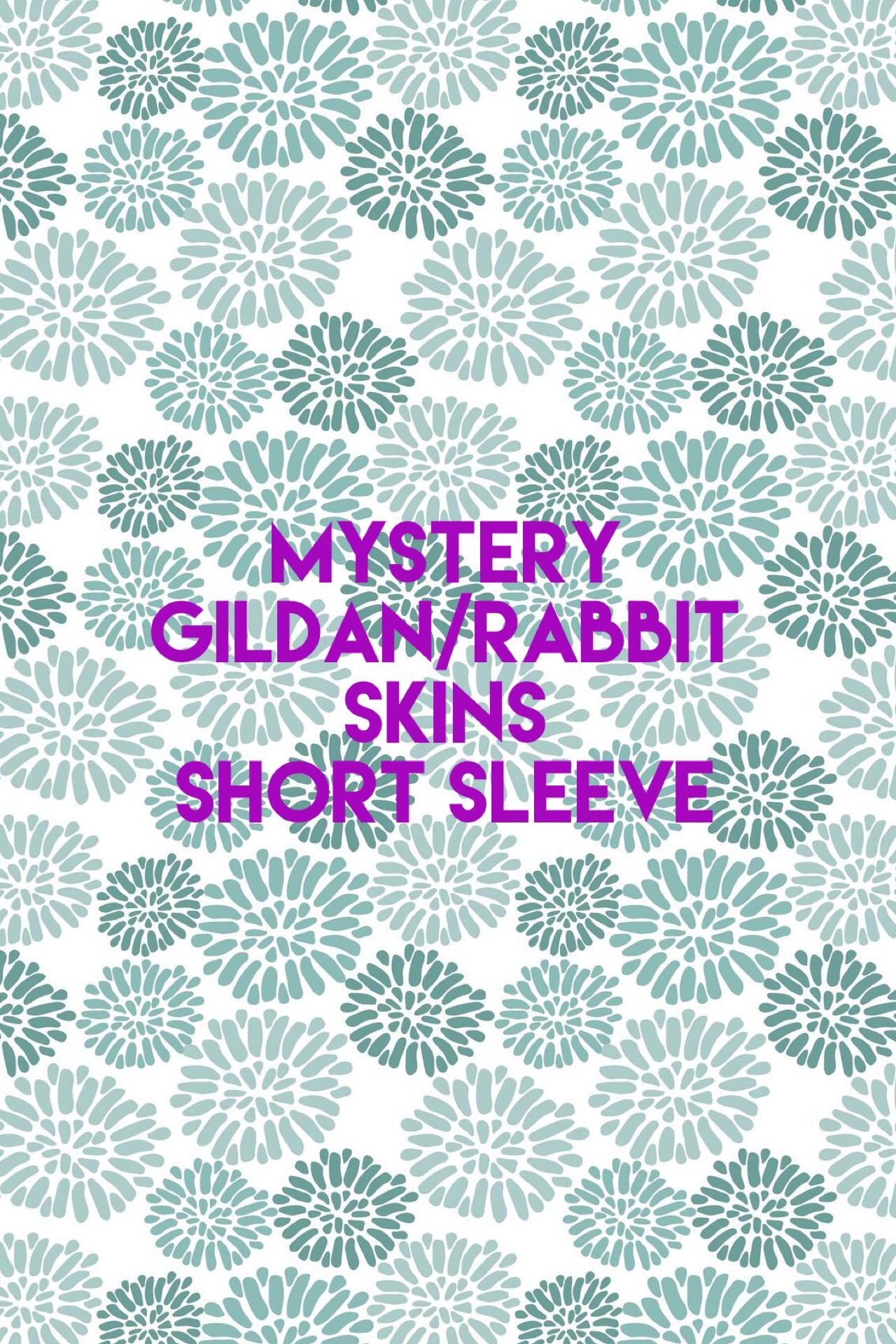 MYSTERY SHORT SLEEVE T SHIRTS- NO EXTRA DISCOUNTS PLEASE